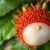 Rambutan – egzotyczny owoc pełen zdrowotnych właściwości