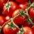 Pomidory cherry – zdrowe właściwości i wartości odżywcze